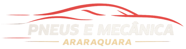Pneus e Mecânica Araraquara logo